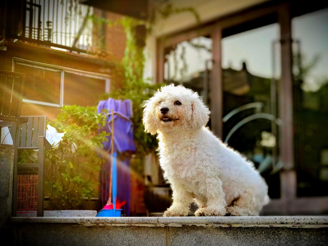 C:/Users/Administrator/AppData/Local/Temp/picturecompress_20210922162312/output_1.jpgoutput_1