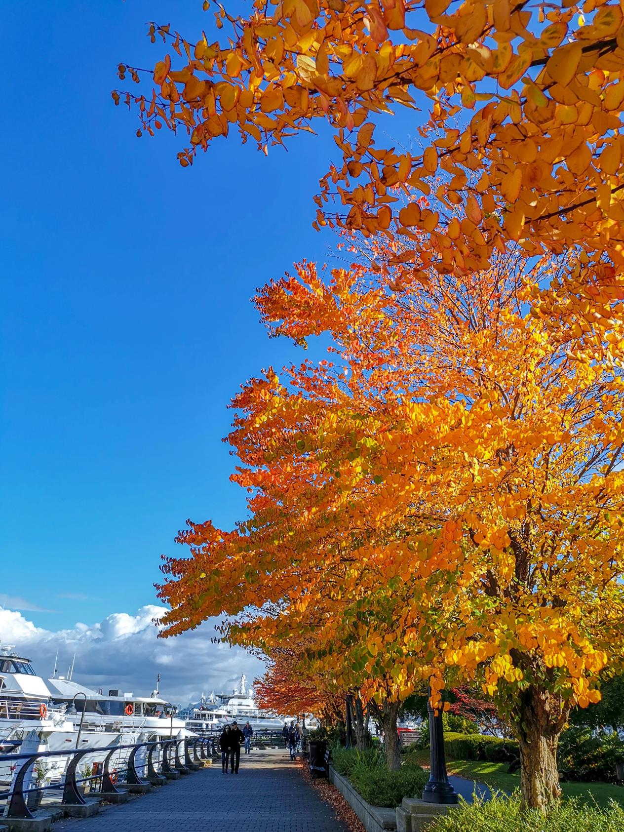 C:/Users/Administrator/AppData/Local/Temp/picturecompress_20210922162359/output_1.jpgoutput_1