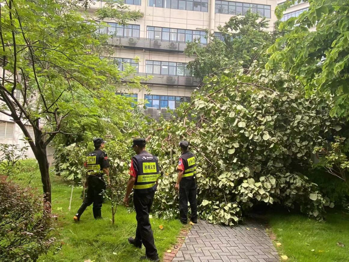 3919f484c391926b5469ba9fa0176fb